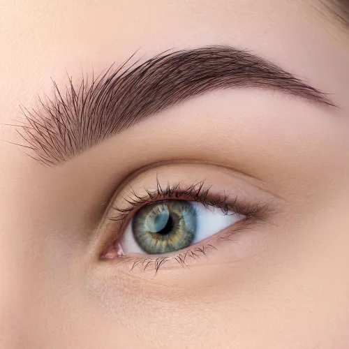 eyebrow